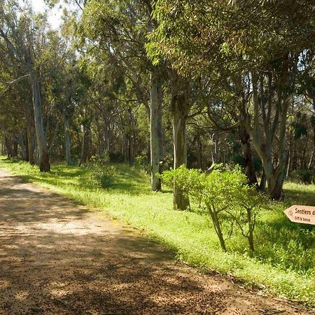Casa Vacanza Platani Villa Ribera Kültér fotó